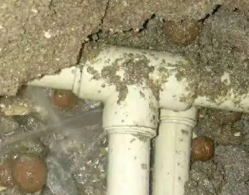 连山测漏水多少钱