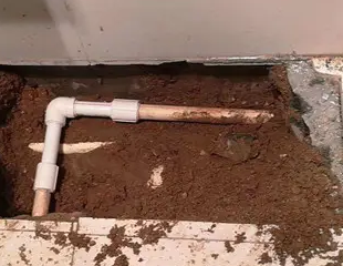 连山测漏水哪家好