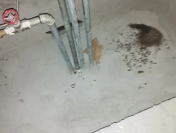 连山卫生间测漏水价格明细