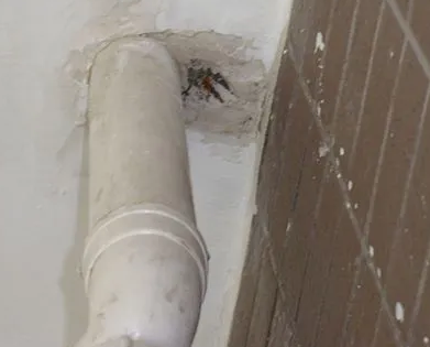 连山漏水检测哪家好